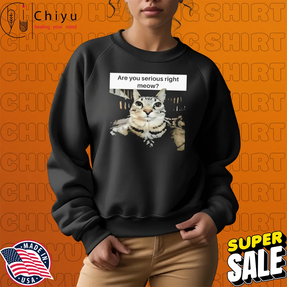 Are You Serious Right Meow Cat T-Shirts Are You Serious Right Meow Cat T-Shirts