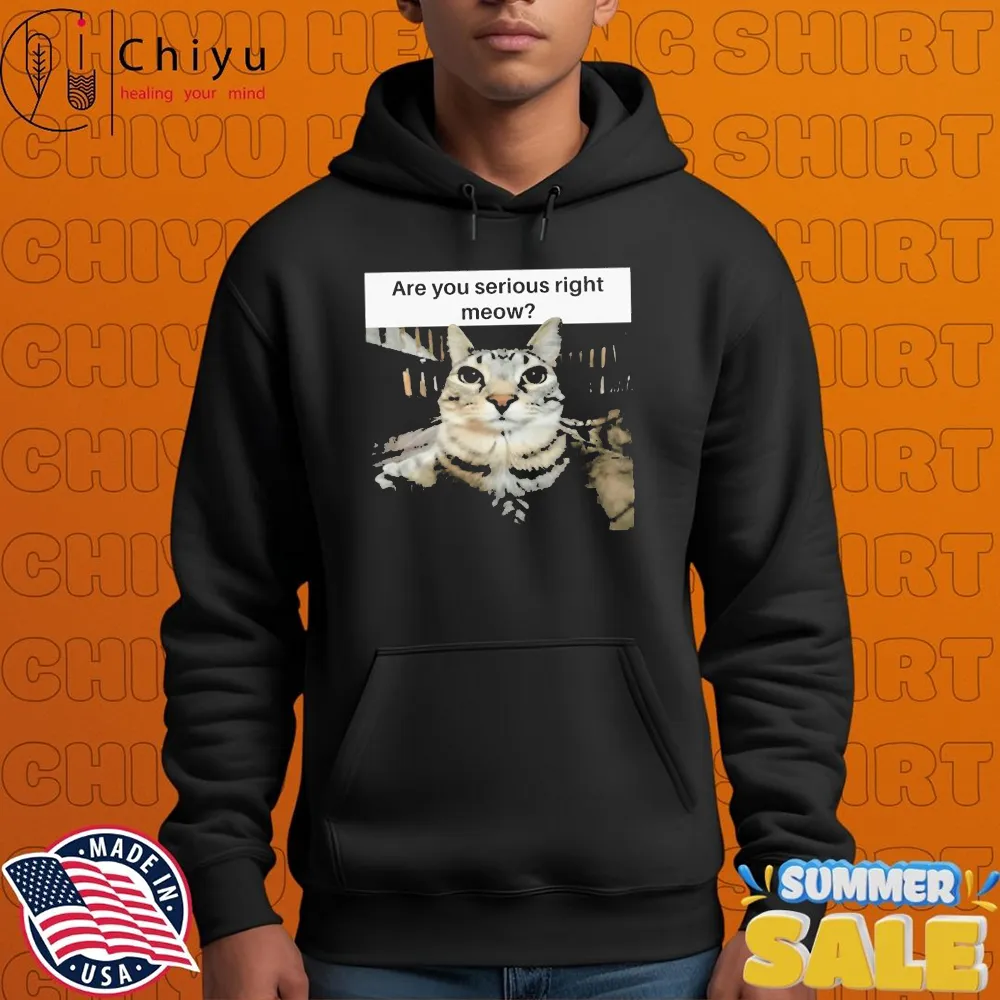 Are You Serious Right Meow Cat T-Shirts Are You Serious Right Meow Cat T-Shirts