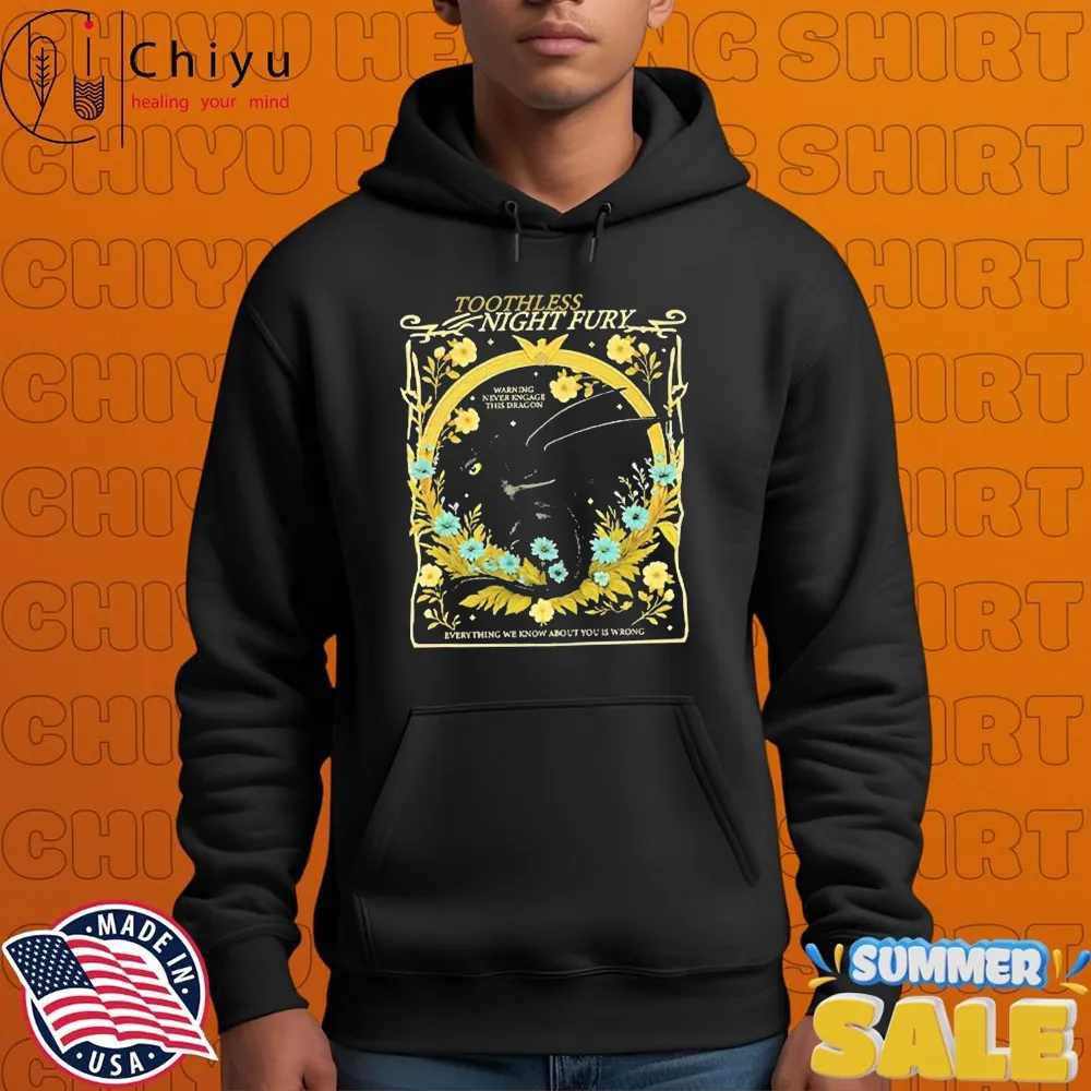 Toothless Night Fury Warning Never Engage This Dragon Everything We Know About You is Wrong Hoodie Toothless Night Fury Warning Never Engage This Dragon Everything We Know About You is Wrong Hoodie
