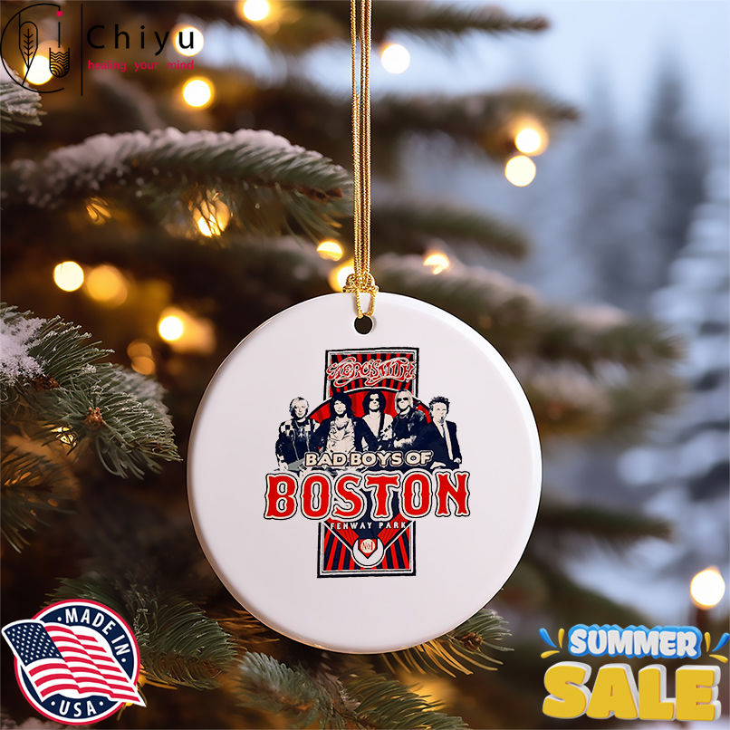 Aerosmith 2010 Fenway Park Boston Tour shirt