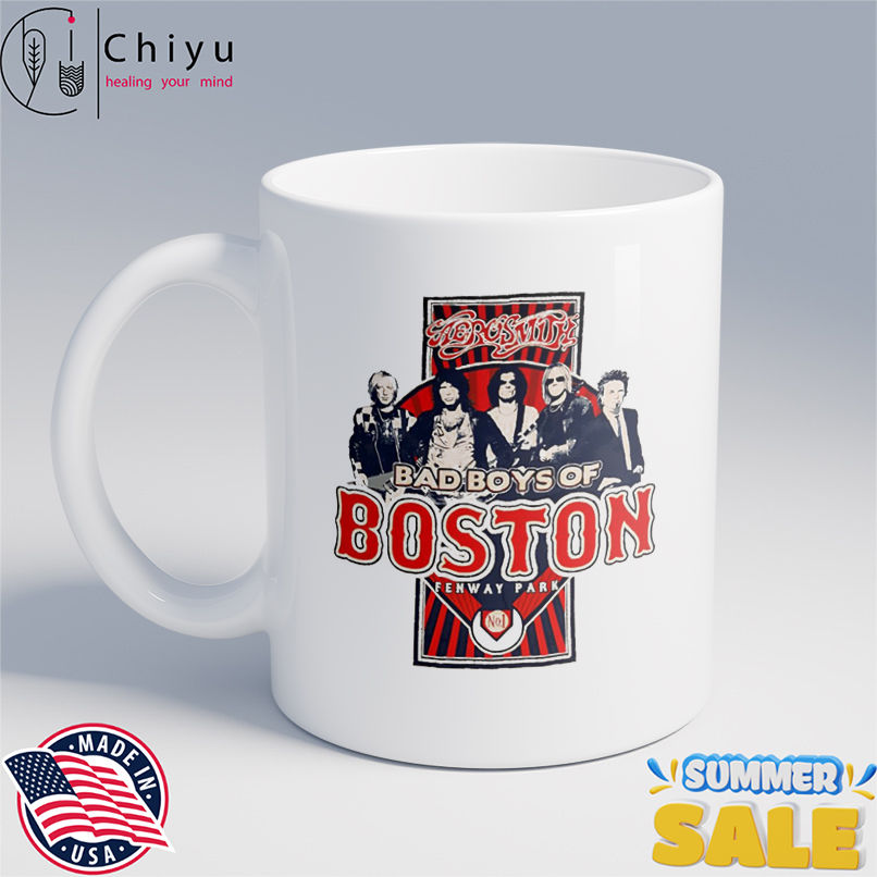 Aerosmith 2010 Fenway Park Boston Tour shirt