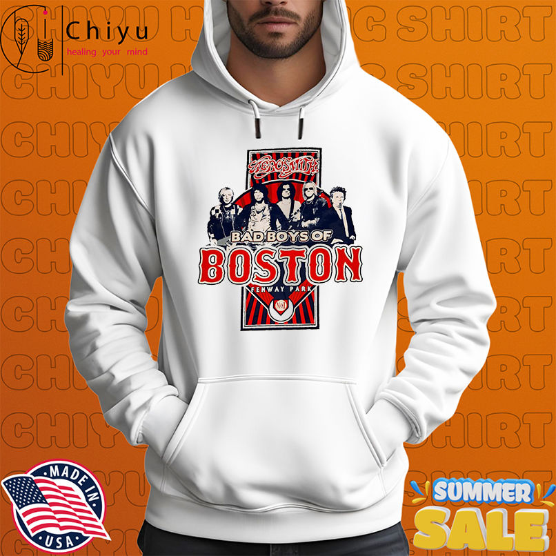 Aerosmith 2010 Fenway Park Boston Tour shirt