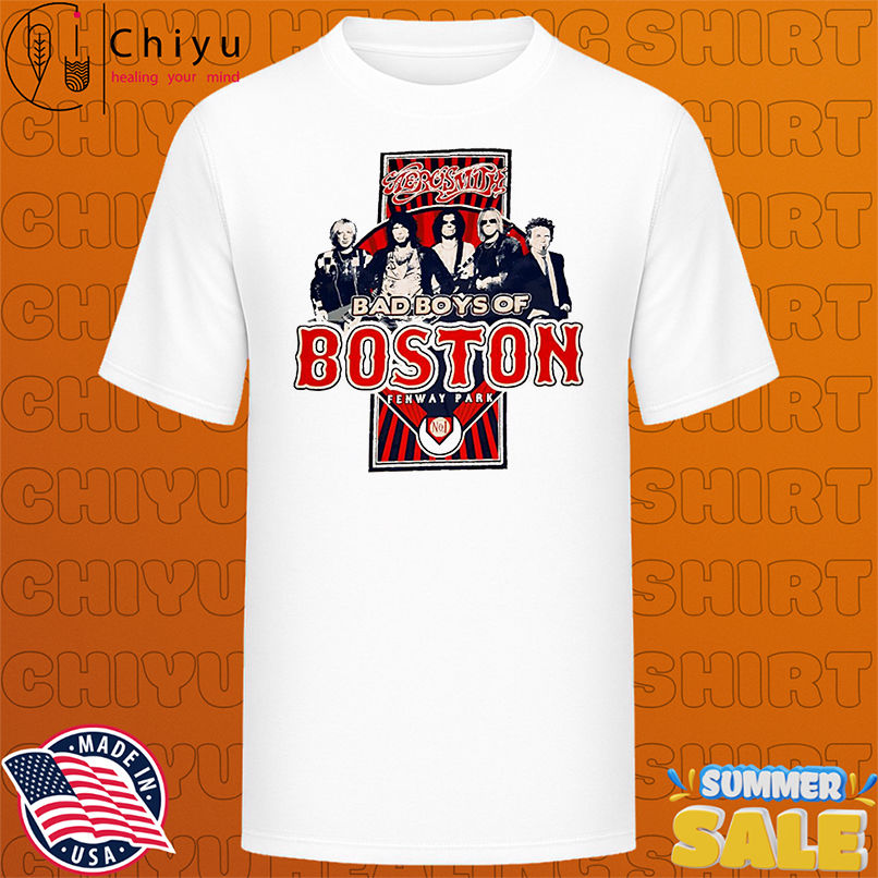 Aerosmith 2010 Fenway Park Boston Tour shirt