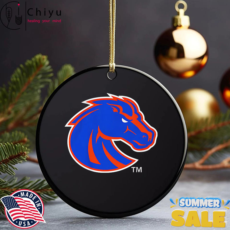 Boise State Broncos Primary Logo 2026 shirt