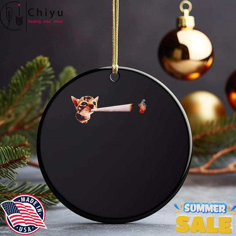 Cat smoking meme shirt