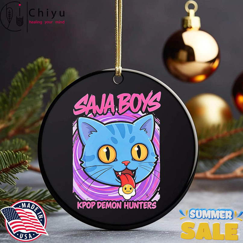 Derpy Tiger Saja Boys KPop Demon Hunters Blue Cat shirt