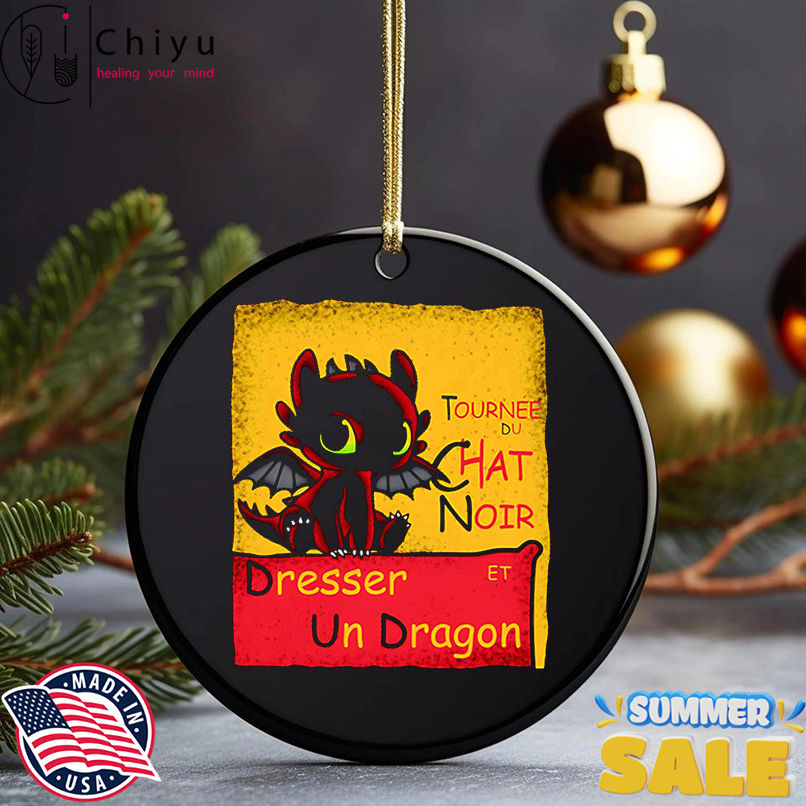 Dresser Un Dragon How to Train Your Dragon shirt