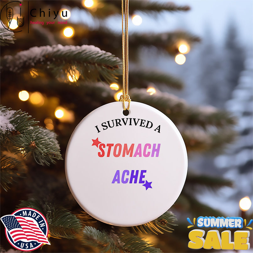 I survived a stomach ache shirt
