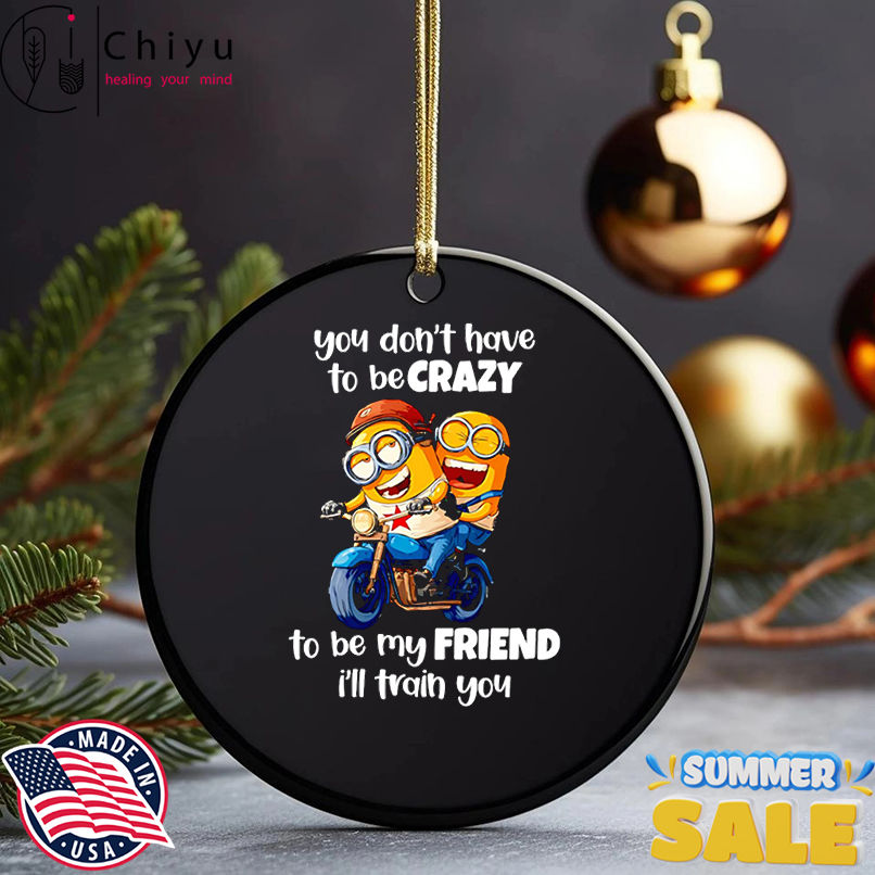 Minion you don't have to be crazy to be my friend I'll train you shirt