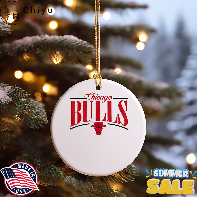 NBA Chicago Bulls Logo Arch shirt