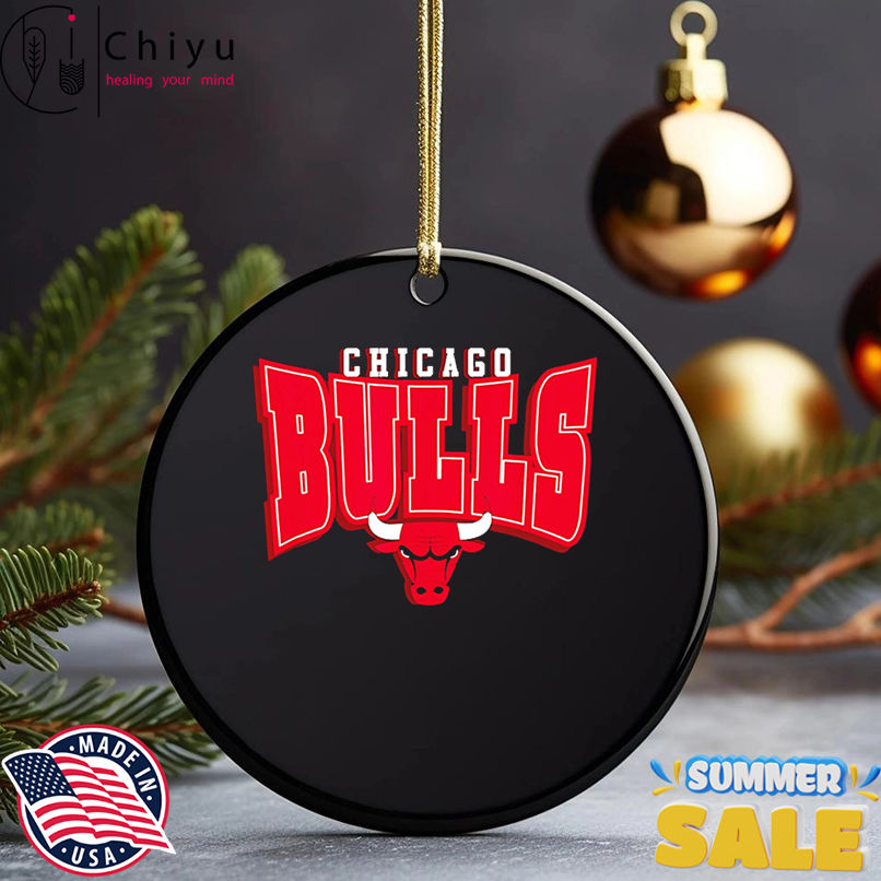 NBA Official Chicago Bulls Boundless shirt