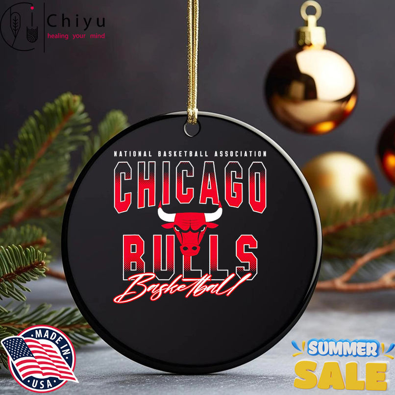 NBA Official Chicago Bulls Fade Out shirt