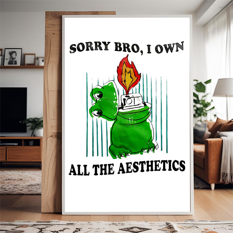 Sorry bro I own all the aesthetics shirt Sorry bro I own all the aesthetics shirt