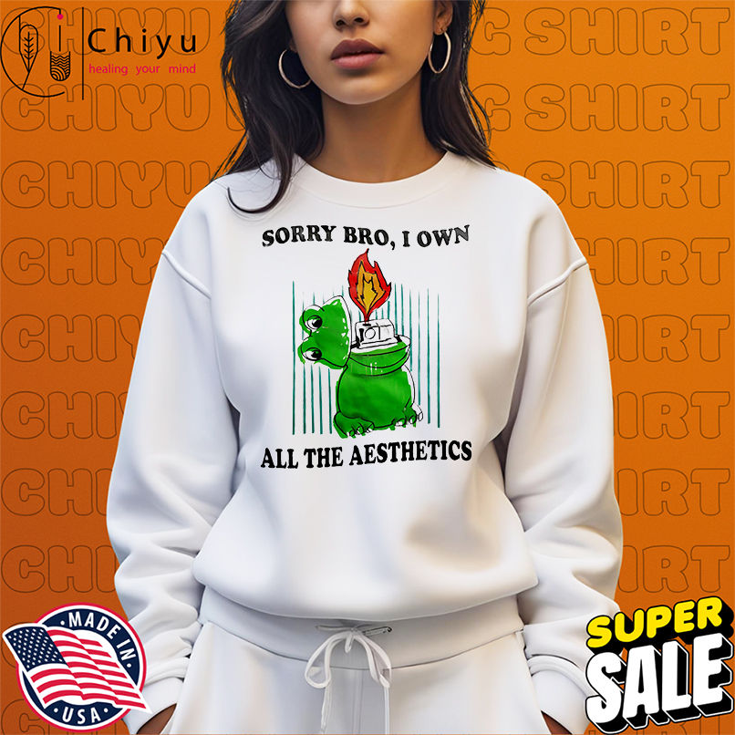 Sorry bro I own all the aesthetics shirt Sorry bro I own all the aesthetics shirt