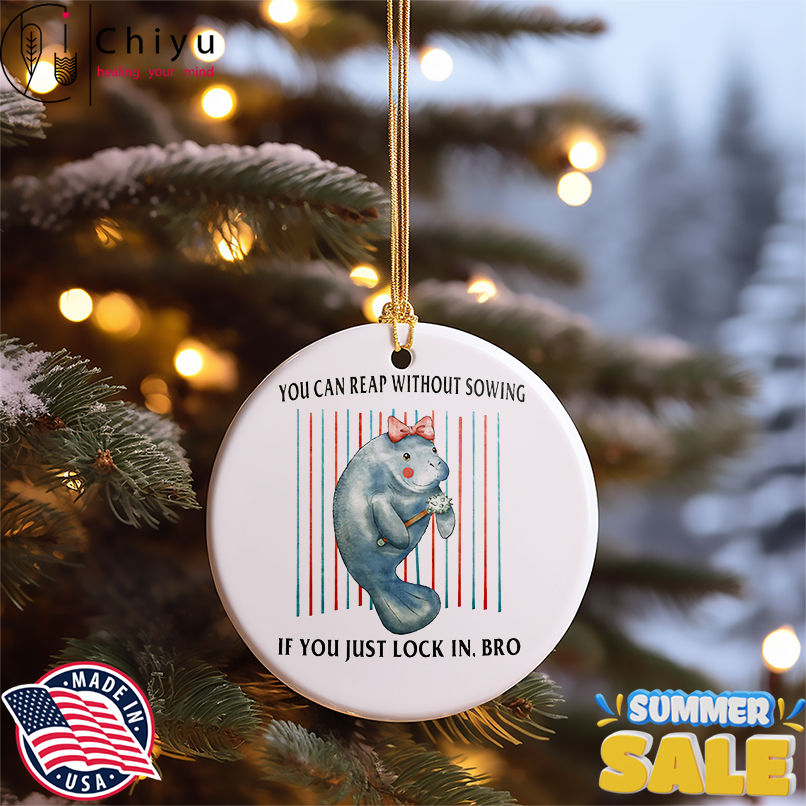 You can reap without sowing if you just lock in bro shirt