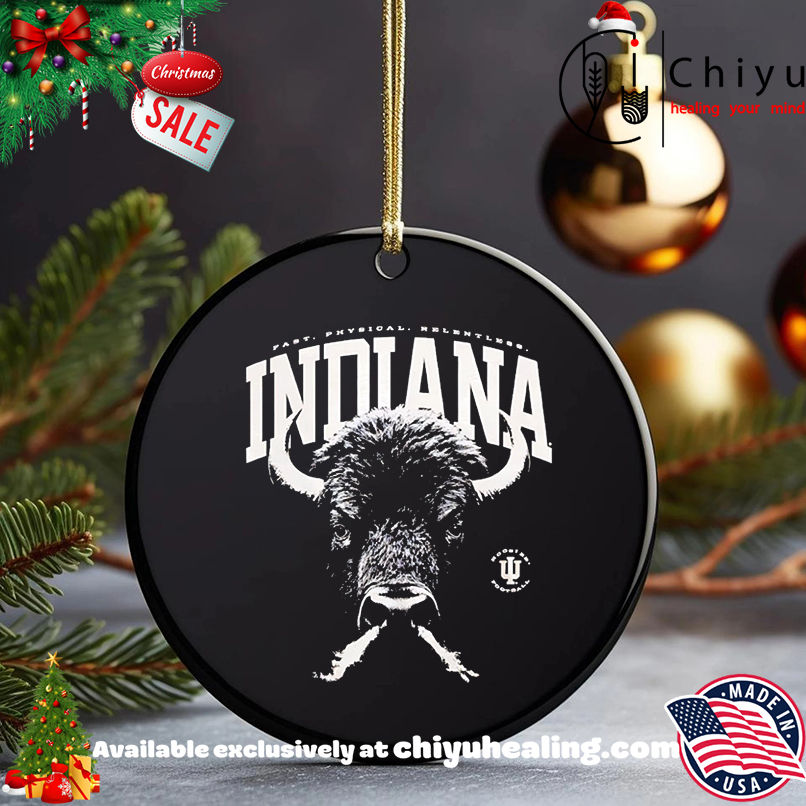 IU Football Bison Relentless shirt, Hoodie, Sweatshirt, Poster Canvas, Mug, Ornaments