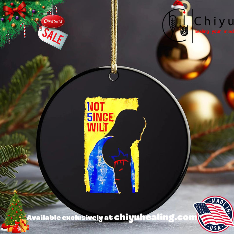 Nikola Jokić Denver Nuggets not 5ince wilt paint shirt, Hoodie, Sweatshirt, Poster Canvas, Mug, Ornaments