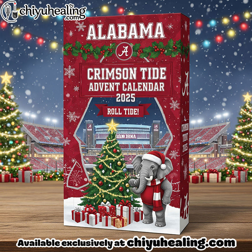 ACT Premium Advent Calendar 2025 CHRISTMAS GIFT, CHRISTMAS IDEA, Christmas Countdown Advent Calendar Gift Box with 24 Acrylic Ornaments