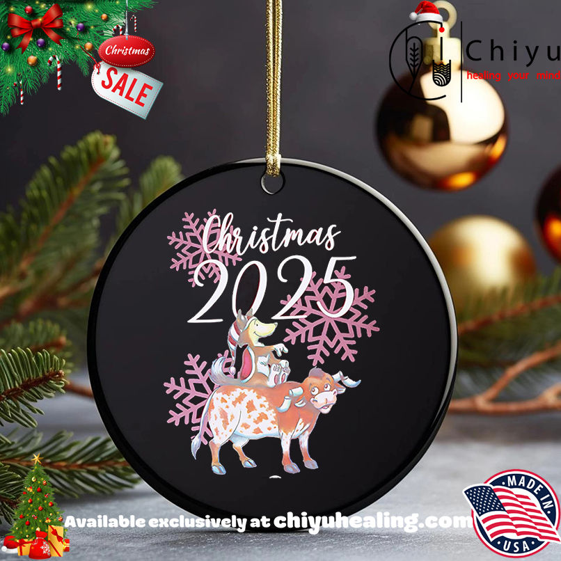 Aggieland Outfitters 2025 Christmas shirt, Hoodie, Sweatshirt, Poster Canvas, Mug, Ornaments