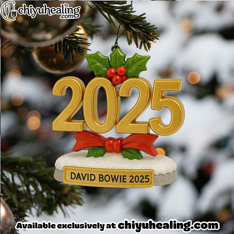 DVB ADVENT CALENDAR 2025 LNTH, Christmas Countdown Advent Calendar Gift Box with 24 Acrylic Ornaments