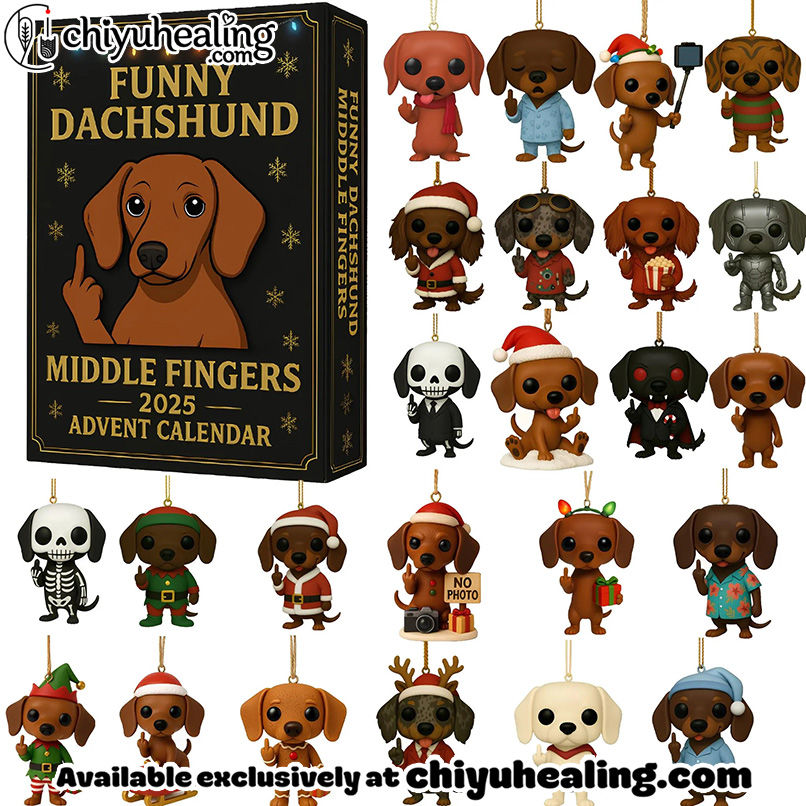 Dachshund Advent Calendar, Christmas Countdown Advent Calendar Gift Box with 24 Acrylic Ornaments