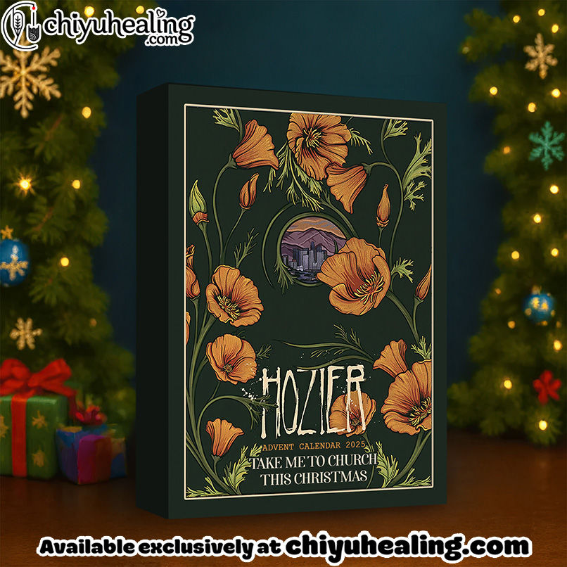 HZR ADVENT CALENDAR 2025 CHRISTMAS GIFT, CHRISTMAS IDEA, Christmas Countdown Advent Calendar Gift Box with 24 Acrylic Ornaments