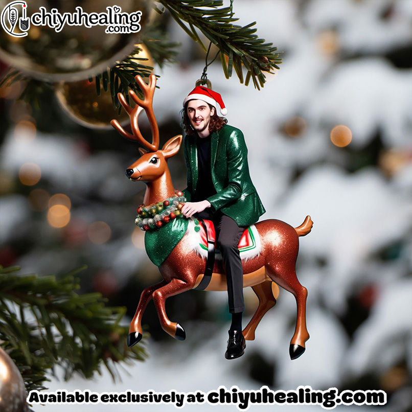 HZR ADVENT CALENDAR 2025 CHRISTMAS GIFT, CHRISTMAS IDEA, Christmas Countdown Advent Calendar Gift Box with 24 Acrylic Ornaments