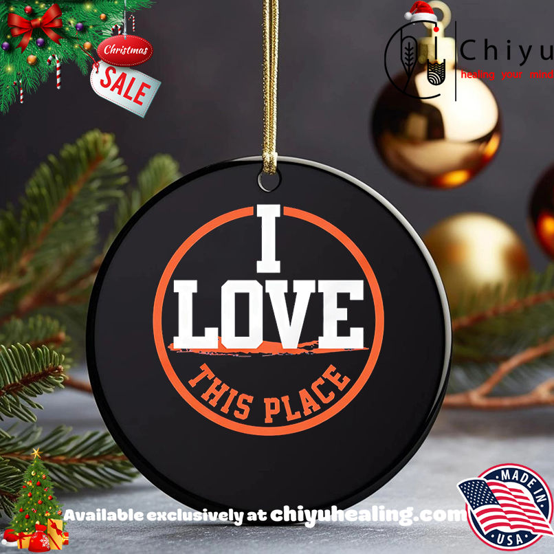 I love this place Matthew Schaefer New York Islanders shirt, Hoodie, Sweatshirt, Poster Canvas, Mug, Ornaments