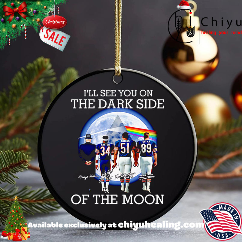 I'll See You On The Dark Side Of The Moon Chicago Bears Shirt, Hoodie, Sweatshirt, Poster Canvas, Mug, Ornaments