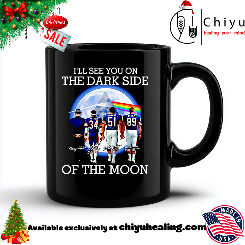 I'll See You On The Dark Side Of The Moon Chicago Bears Shirt, Hoodie, Sweatshirt, Poster Canvas, Mug, Ornaments