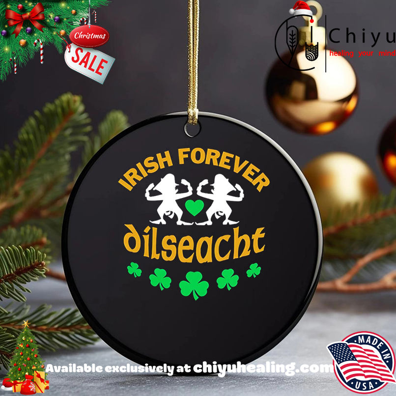 Irish Forever dilseacht shirt, Hoodie, Sweatshirt, Poster Canvas, Mug, Ornaments
