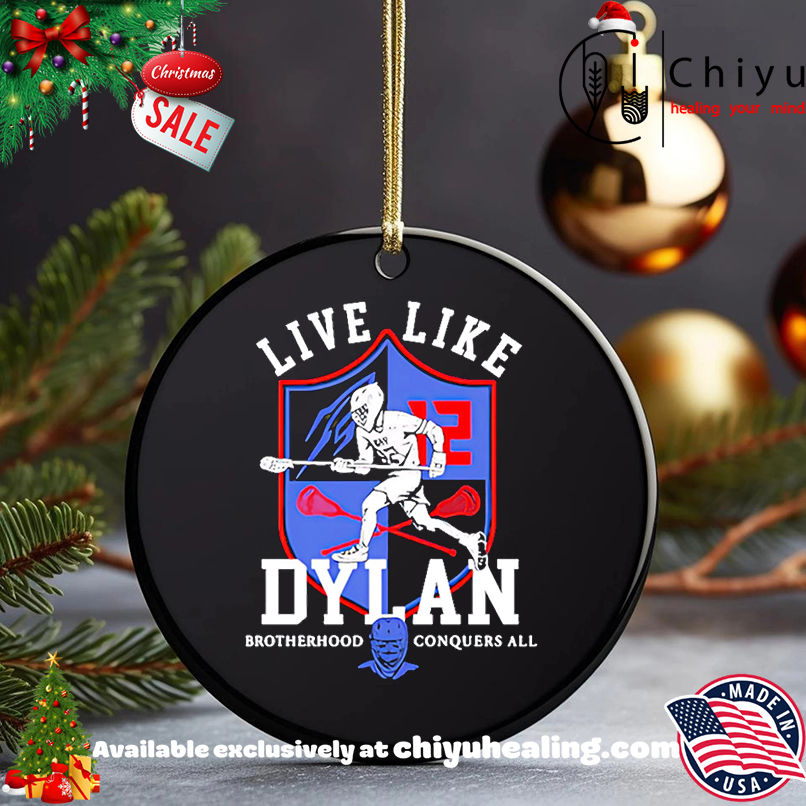 Live Like Dylan Shirt, Hoodie, Sweatshirt, Poster Canvas, Mug, Ornaments 5 Live Like Dylan Shirt, Hoodie, Sweatshirt, Poster Canvas, Mug, Ornaments