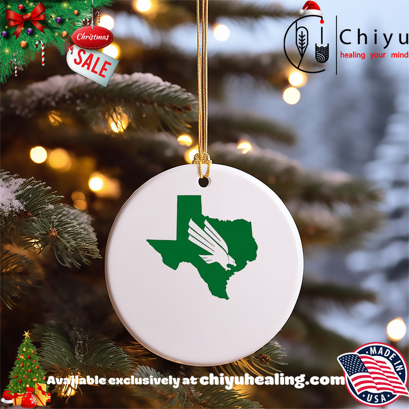 North Texas Texas Diving Eagle map shirt, Hoodie, Sweatshirt, Poster Canvas, Mug, Ornaments