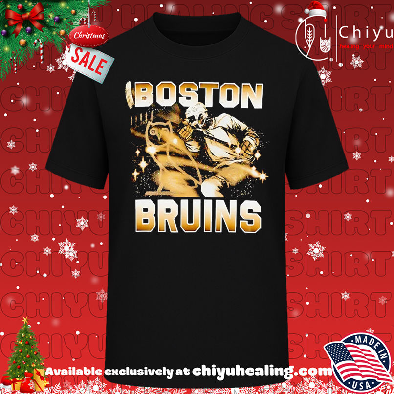 Official Boston Bruins owl NHL 2025 graphic T-shirt, Hoodie, Sweatshirt, Poster Canvas, Mug, Ornaments