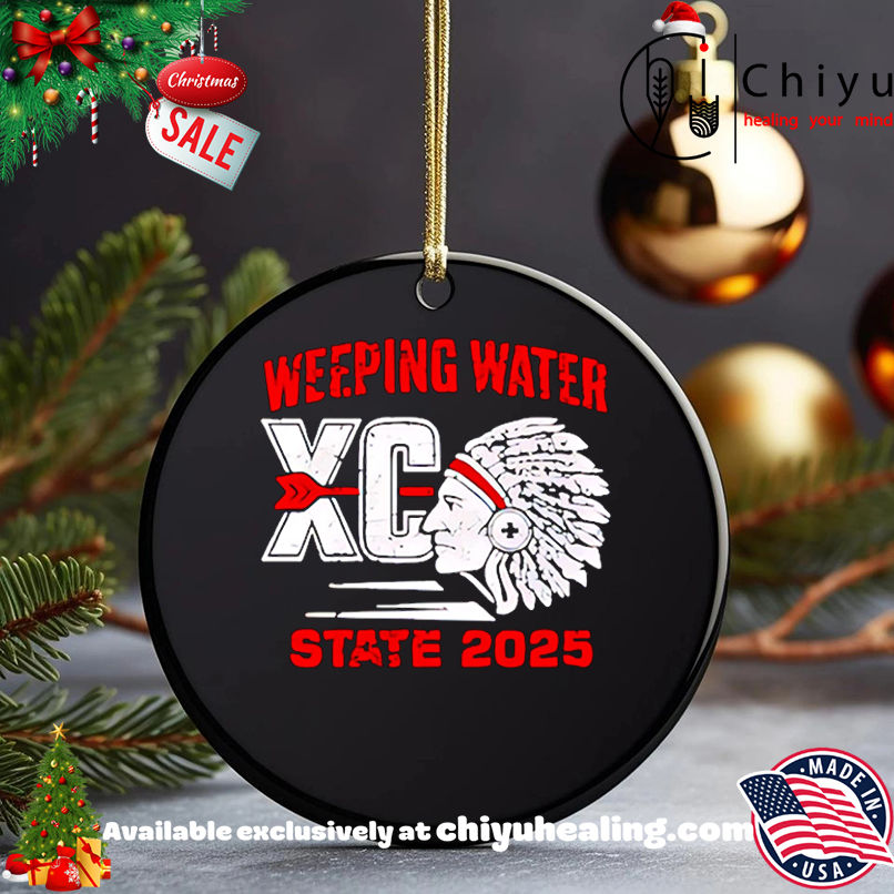 Weeping Water State 2025 shirt, Hoodie, Sweatshirt, Poster Canvas, Mug, Ornaments